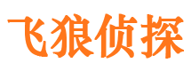 武昌市侦探公司